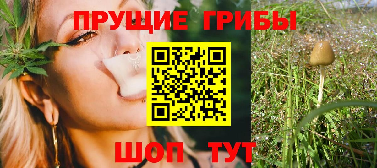 где можно купить наркотик  Псилоцибиновые грибы GOLDEN TEACHER  Вход с VPN  Изобильный 